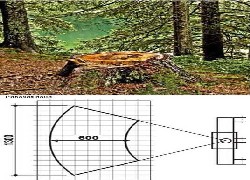 Продажа итальянского измельчителя пней GANDINI, в Казахстане за 000 $. Фотография 4 Купить измельчитель пней GANDINI, CASTOR HYDRO (экскаваторный вариант), CASTOR 72 в Алматы, цена: 000 $, рассрочка - 6 месяцев. Фото 4