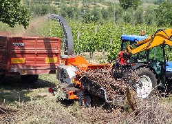 Продажа итальянского измельчителя веток GANDINI, барабанного типа в Казахстане за 000 $. Фотография 11 Купить измельчитель веток GANDINI, барабанного типа в Алматы, цена: 000 $, рассрочка - 6 месяцев. Фото 11