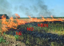 Продажа украинского измельчителя соломы в валках в Казахстане за 000 $. Фотография 5 Купить измельчитель соломы в валках MS170 в Алматы, цена: 000 $, рассрочка - 6 месяцев. Фото 5